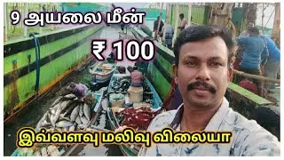 ஏலத்தில் மீன் வாங்குவது இவ்வளவு லாபமா / Colachel Harbour / Sea Fish / Sunil T code