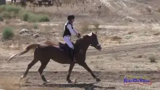 109XC Alex Hawkinson on Snow Angel SR Novice Cross Country Copper Meadows Sept. 2016