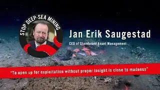 Deep-sea mining is financially risky: 