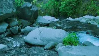 Calming Pure Stream Extended [ASMR] &ndash; For Mental Peace & Deep Rest