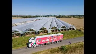 Logistyka owoc&oacute;w jagodowych &ndash; czy można obniżyć koszty transportu?