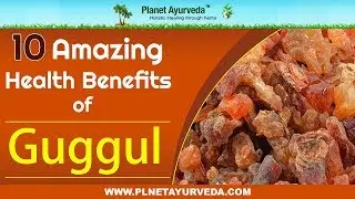 10 Amazing Health Benefits of Guggul (Commiphora Mukul)