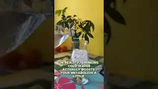 Cold Water Makes You Fat?! Doctors Hate This Truth!