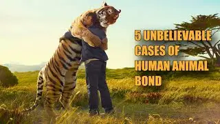 5 UNBELIEVABLE CASES OF HUMAN ANIMAL BOND