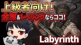 【Tarkov】上級者向け！経験値と金策同時にできる！Labyrinth