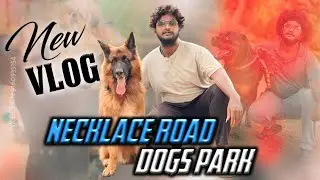 NECKLACE ROAD DOGS PARK || VENKY SANDY || DOGS PARK VLOG