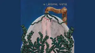I Am So