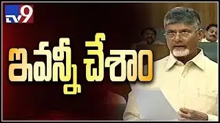 TDP government fulfilled 295 promises - Chandrababu - TV9