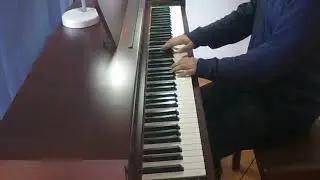 Paul Machlis - Nightblossom - ( cover ). 🎹
