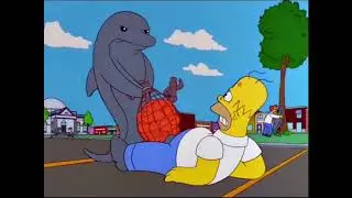 Attack of the Dolphins!