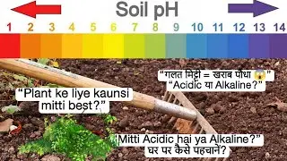 🔴Acidic vs Alkaline Soil for Plants | Correct identification of soil ll #soil