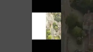 Ribbed Vaults in Gothic Architecture  #archi #architecure #facts #history #gothic #youtubeshorts