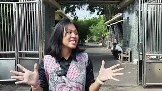 KESPLORASI MUSEUM PURBA SANGIRAN - SRAGEN