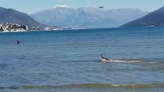 Ca de Bestiar one day of dog Samson