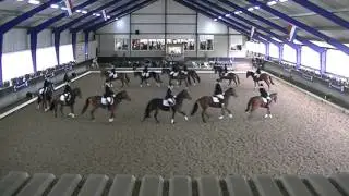 Sintels Mix pony's 2015
