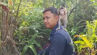 It's amazing how baby monkey Boni is developing playing in the forest.😱😱