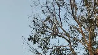 hamare live me aap sabhi ka स्वागत h🔥@#shobhavlogs728