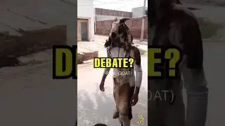 The Real Goat Meme