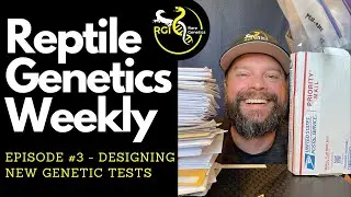 Designing New Genetic Tests - Reptile Genetics Weekly Ep. 3