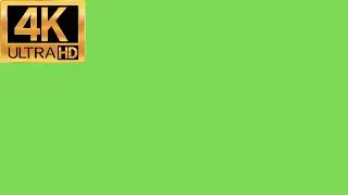 camera flash green screen 💚 flashing lights green screen 💚 flash green screen 💚 flash light effect