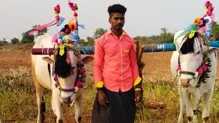 seema eddulu // +91 88842 57488