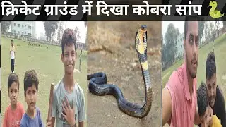 क्रिकेट ग्राउंड में अचानक आ गया कोबरा सांप 🐍।। cricket ground mein aaya cobra snake!! #vlog #snake
