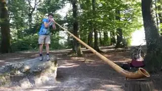 Alphorn im L&auml;ngholzwald