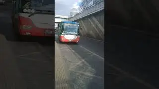 Př&iacute;jezd autobusu SOR CN 9.5 do zast&aacute;vky Čern&yacute; Most #bus #praha #csad #sor #shorts