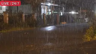 Soothing Night Rain on Empty Street Ambience for Deep Sleep, Calm Mind, and Focus⛈️