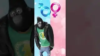 cambio de g&eacute;nero versi&oacute;n Sing 2