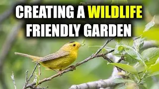 Creating a Wildlife Friendly Garden: Encouraging Birds and Bees