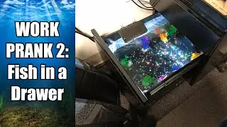 Work Prank 2 - Fish in a Drawer