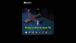 am găsit Ruby chest &icirc;n ziua 10 I found Ruby chest at 10 day