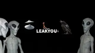 Walking With The Tall Whites | Aliens Living & Operating Out Of Nellis AFB | LeakYou.com