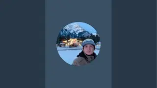 Wildyboy official