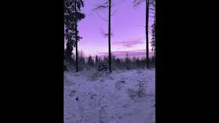 FREE k suave x rich amiri x d savage type beat 2023 