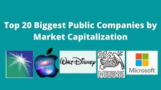 Top 20 Biggest Public Companies by Market Capitalization
