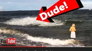 Insane Mullet Run - Shark Feeding Frenzy