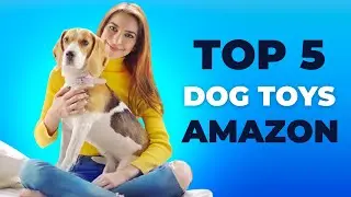 Top 5 best dog toys you can buy on amazon