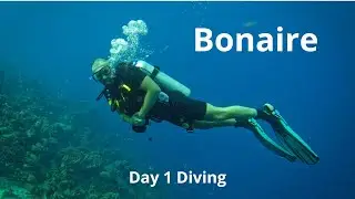 Bonaire Diving Day 1