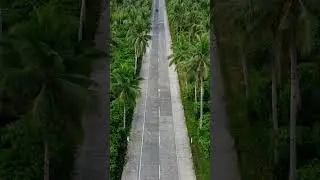The most beautiful road in the Philippines🌴 #siargaoisland #siargao #philippines #philippinestravel