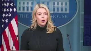 Karoline Leavitt: Americans don't have a right to impede immigration enforcement