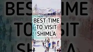 Best Time To Visit Shimla / Shimla Trip / Shimla Holiday / #shorts #travelindia