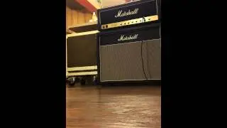 1981 Marshall JCM 800 (2204) at conversation level volume