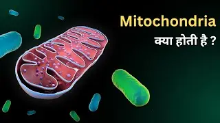 Mitochondria kya hota hai? | Powerhouse of the Cell | Biology in Hindi