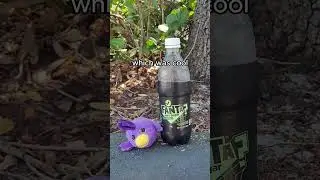 New Mystery Fanta review with Sincho
