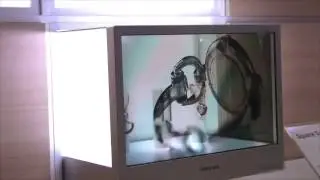 Transparent display by Interactive World