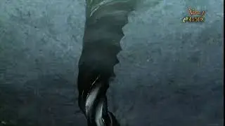 Bayonetta - Let's Hit the Climax!
