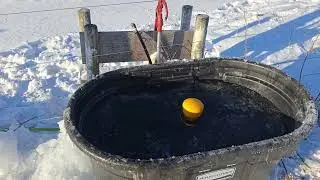Cattle Winter Water Tank Froze Over Part 4 of 4