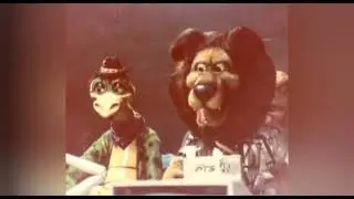 Rare photos of the Circus Playhouse Band